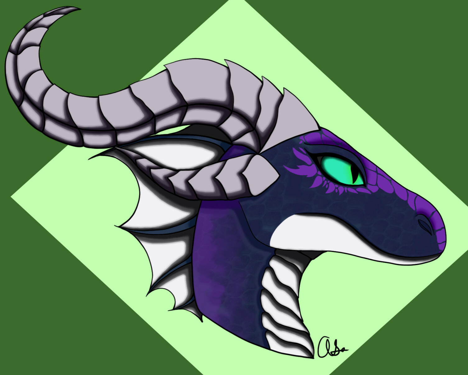 Kaida Headshot (2024)
